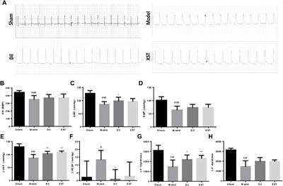 Proteomic analysis revealed the pharmacological mechanism of Xueshuantong injection in preventing early acute myocardial infarction injury